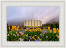 Load image into Gallery viewer, Provo Spring Tulips
