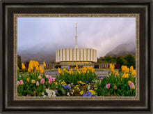 Load image into Gallery viewer, Provo Spring Tulips
