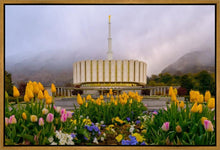 Load image into Gallery viewer, Provo Spring Tulips
