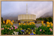 Load image into Gallery viewer, Provo Spring Tulips
