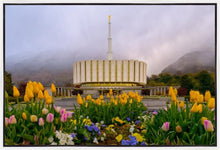 Load image into Gallery viewer, Provo Spring Tulips
