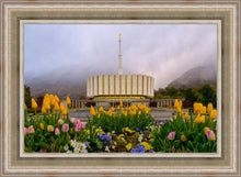 Load image into Gallery viewer, Provo Spring Tulips
