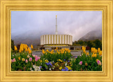 Load image into Gallery viewer, Provo Spring Tulips
