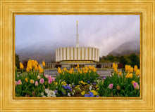 Load image into Gallery viewer, Provo Spring Tulips

