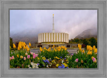Load image into Gallery viewer, Provo Spring Tulips
