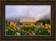 Load image into Gallery viewer, Provo Spring Tulips
