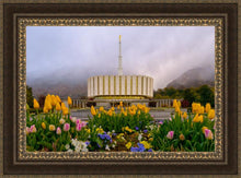 Load image into Gallery viewer, Provo Spring Tulips
