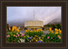 Load image into Gallery viewer, Provo Spring Tulips
