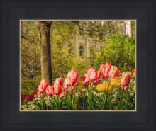 Load image into Gallery viewer, Salt Lake In The Garden
