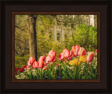 Load image into Gallery viewer, Salt Lake In The Garden
