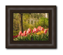 Load image into Gallery viewer, Salt Lake In The Garden

