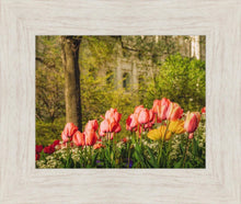 Load image into Gallery viewer, Salt Lake In The Garden
