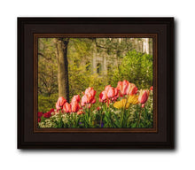 Load image into Gallery viewer, Salt Lake In The Garden
