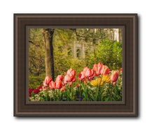 Load image into Gallery viewer, Salt Lake In The Garden
