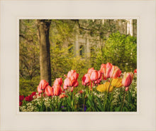 Load image into Gallery viewer, Salt Lake In The Garden
