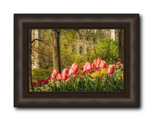 Load image into Gallery viewer, Salt Lake In The Garden
