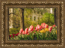 Load image into Gallery viewer, Salt Lake In The Garden
