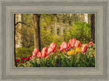 Load image into Gallery viewer, Salt Lake In The Garden
