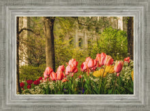 Load image into Gallery viewer, Salt Lake In The Garden
