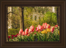 Load image into Gallery viewer, Salt Lake In The Garden
