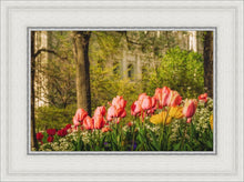 Load image into Gallery viewer, Salt Lake In The Garden
