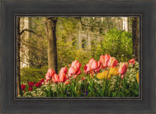 Load image into Gallery viewer, Salt Lake In The Garden
