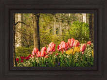 Load image into Gallery viewer, Salt Lake In The Garden
