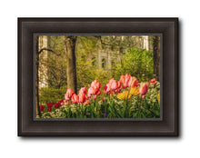 Load image into Gallery viewer, Salt Lake In The Garden
