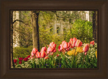 Load image into Gallery viewer, Salt Lake In The Garden
