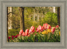 Load image into Gallery viewer, Salt Lake In The Garden
