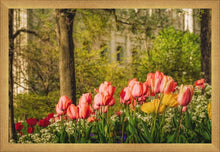 Load image into Gallery viewer, Salt Lake In The Garden

