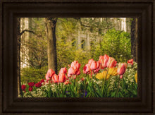 Load image into Gallery viewer, Salt Lake In The Garden
