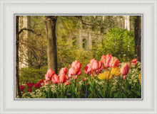 Load image into Gallery viewer, Salt Lake In The Garden
