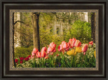 Load image into Gallery viewer, Salt Lake In The Garden
