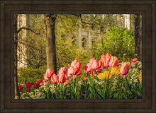 Load image into Gallery viewer, Salt Lake In The Garden
