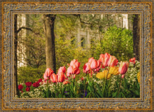 Load image into Gallery viewer, Salt Lake In The Garden
