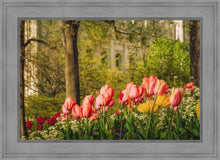 Load image into Gallery viewer, Salt Lake In The Garden
