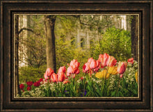 Load image into Gallery viewer, Salt Lake In The Garden
