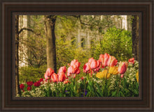 Load image into Gallery viewer, Salt Lake In The Garden
