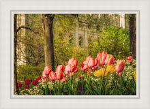Load image into Gallery viewer, Salt Lake In The Garden
