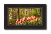 Load image into Gallery viewer, Salt Lake In The Garden
