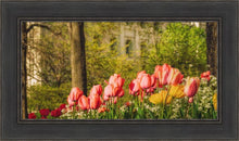 Load image into Gallery viewer, Salt Lake In The Garden
