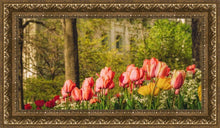 Load image into Gallery viewer, Salt Lake In The Garden
