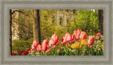 Load image into Gallery viewer, Salt Lake In The Garden
