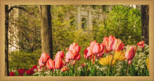 Load image into Gallery viewer, Salt Lake In The Garden
