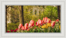 Load image into Gallery viewer, Salt Lake In The Garden
