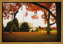 Load image into Gallery viewer, Provo Sanctuary

