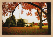 Load image into Gallery viewer, Provo Sanctuary

