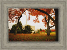 Load image into Gallery viewer, Provo Sanctuary
