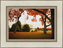 Load image into Gallery viewer, Provo Sanctuary
